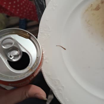 Çaykur Didi Ice Tea’de Rahatsız Edici Yabancı Madde Çıktı, Ürün Güvenliği Sorgulandı