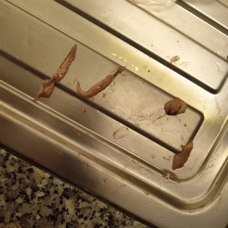 Migros Balıkta Parazit: Gıda Güvenliği İhmal Edildi