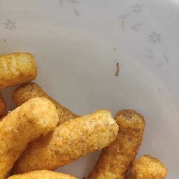 İzmir Çiğli A101’den Cerezza Cipsinde Kurt Çıktı, Sağlık Ve Hijyen Kontrolü Talep Ediliyor