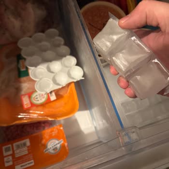 Bosch Çift Kapılı Buzdolabının Tekrarlayan Soğutmama Sorunu Ve Gıda Bozulması