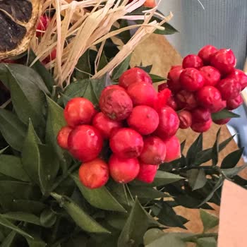 Çürük Çiçek Teslimatı Nedeniyle Mahcup Oldum Ve İade Talep Ediyorum