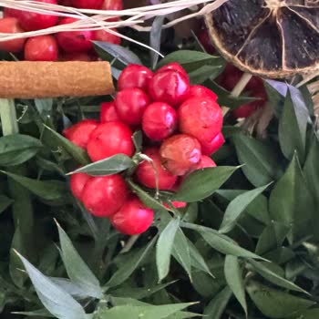 Çürük Çiçek Teslimatı Nedeniyle Mahcup Oldum Ve İade Talep Ediyorum