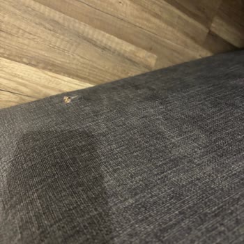 Garanti Kapsamındaki Kırılan Koltuğun Tamiri İçin İki Aylık Bekleme Ve Söz Tutulmayan Hizmet