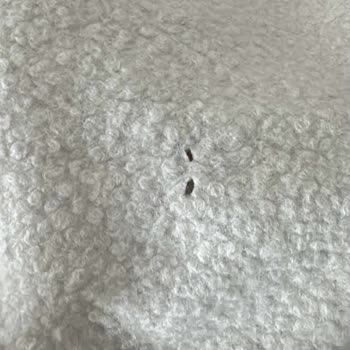 Üç Bağlamalı Kuzu Ceket İçin Defolu Ürün İadesi Talebi