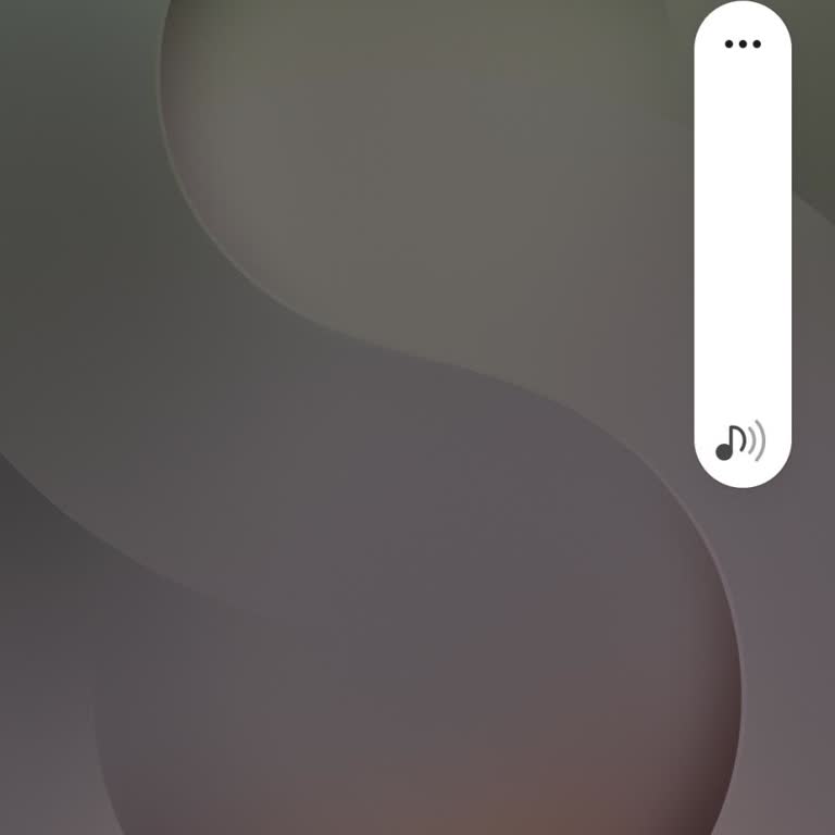 Samsung S25 Ultra Sıfırlama Sonrası Ses Düğmesi Çalışmıyor