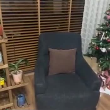 Doğtaş Ne Zaman Çözüm Bulacaksın?