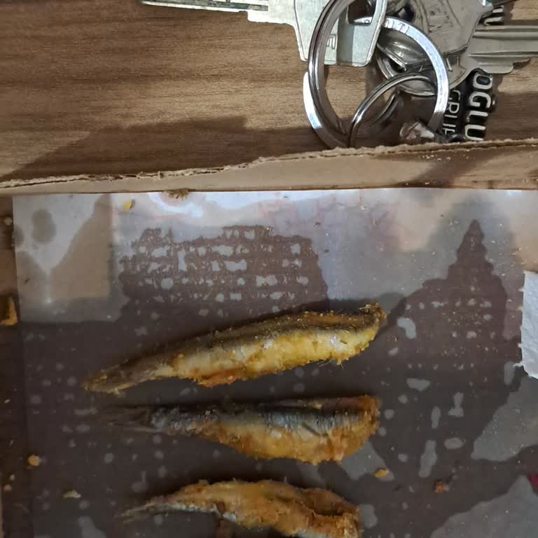 Kalitesiz Hamsi Tava İçin İade Reddi Ve Maddi Kayıp