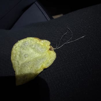 Lay’s Klasik Cipste Yabancı Madde Görülmesiyle Hijyen Şikayeti Ve Açıklama Talebi