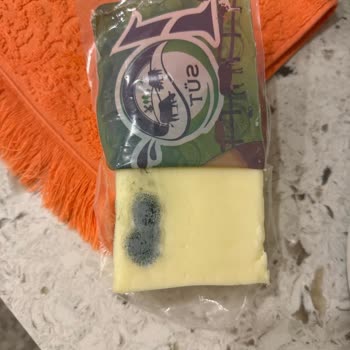 Taze Kaşarda Küf Sorunu Ve Güven Kaybı