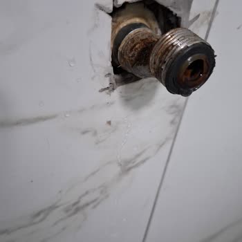 Uzay Su Armatürleri Banyo Bataryasında Tekrarlayan Küflü Su Sızıntısı Ve İade Talebi