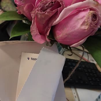 Taze Çiçek | Tazecicek.com Aldığım Çiçekler Bayat Ve Susuz Geldi