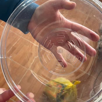 Kırık Ve Kullanılmış Popcorn Makinesi İadesi Hâlâ Beklemede