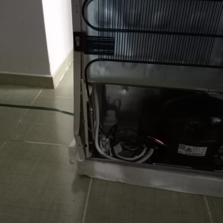 Hasarlı Derin Dondurucu Ürünümün Değişim Talebi