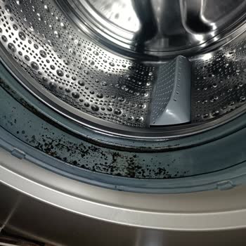 Körük Lastiği Kısa Sürede Küflendi, Servis Kullanıcı Hatası Dedi