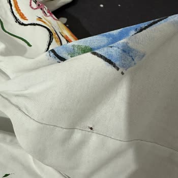 Regal Çamaşır Makinesinin Sürekli Kıyafet Yırtması Ve Servis Tarafından Çözülmemesi