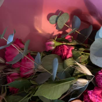 Solmuş Ve Yırtılmış Çiçek Teslimatı, Özel Günüm Mahcup Oldu