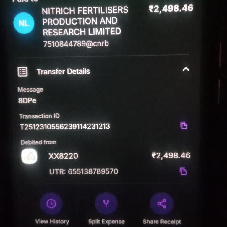 BC.Game PhonePe Deposits Not Credited - No Support Response