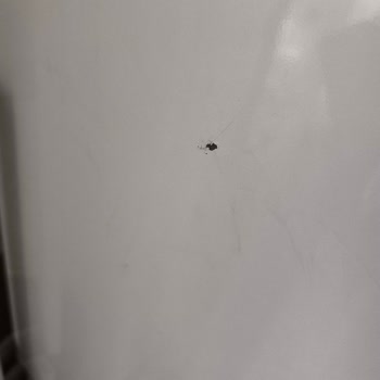 Vestel Buzdolabım Kısa Sürede Paslandı, Değişim Talebim Kabul Edilmedi