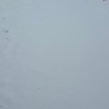 Kuryenet Kuryenin Asılsız Varış Bildirimi Ve Hattımın Kesilmesi