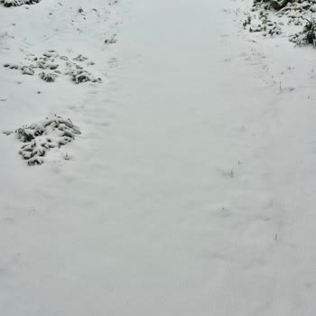 Kuryenet Kuryenin Asılsız Varış Bildirimi Ve Hattımın Kesilmesi