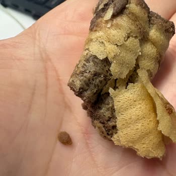 Ürün İçinde Taş Benzeri Kabuk Çıktı Ve Boğazıma Neredeyse Takıldı