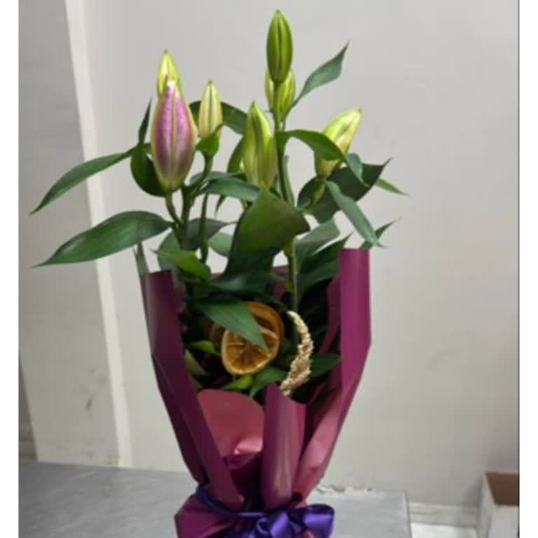 Onaylamadığım Çiçek Teslim Edildi, Müşteri Hizmetleri Yanıt Vermedi