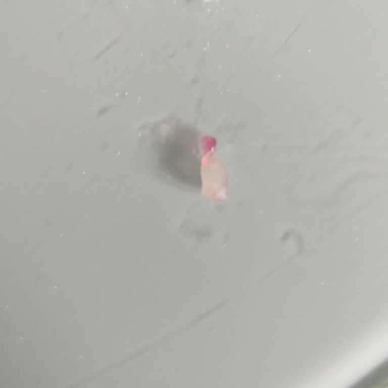 Lokumda Çıkan Sert Plastik Parçaya Açıklama Ve Özür Talebi