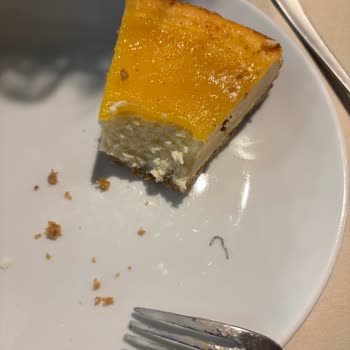 Kahve Dünyası'nda Limonlu Cheesecake'te Metal Parça Tespiti