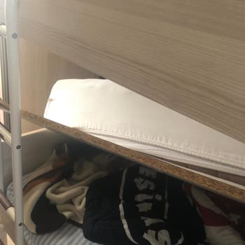 Çilek Mobilya Çocuk Ranzasında Kırılan Suntasından Doğan Güvenlik Sorunu Ve Ücretsiz Değişim Talebi