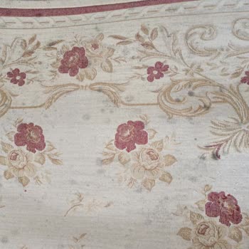 Küflü Halılar İçin Ücret İadesi Ve Temizleme Talebi