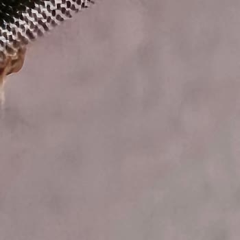 Tamek Ahududu Reçelindeki Dehşet Verici Görünüm Marka Güvenini Sarsıyor