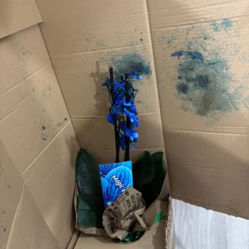 Şehirlerarası Kargo Bilgilendirmesi Olmadan Çiçeğin Mahvolması Ve Ücret İadesi Talebi