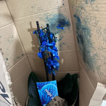 Şehirlerarası Kargo Bilgilendirmesi Olmadan Çiçeğin Mahvolması Ve Ücret İadesi Talebi