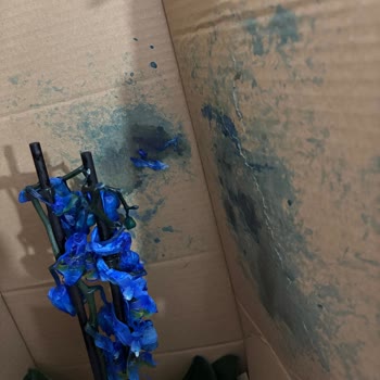 Şehirlerarası Kargo Bilgilendirmesi Olmadan Çiçeğin Mahvolması Ve Ücret İadesi Talebi