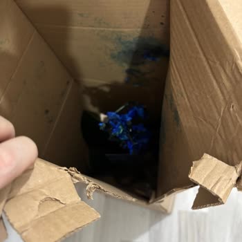 Şehirlerarası Kargo Bilgilendirmesi Olmadan Çiçeğin Mahvolması Ve Ücret İadesi Talebi