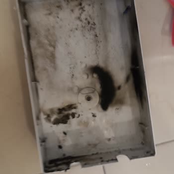 Veito Flow S Elektrikli Isıtıcı Patlaması Ve Ücretsiz Değişim İsteği