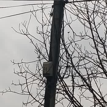 Rüzgâr Nedeniyle Çıkan Kablo, Acil Onarım Ve Fatura İndirimi Talebi