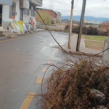 Rüzgâr Nedeniyle Çıkan Kablo, Acil Onarım Ve Fatura İndirimi Talebi