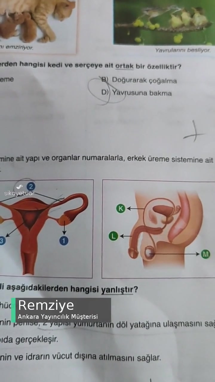 Ankara Yayıncılık Deneme Soru Görseli! videonun kapak resmi