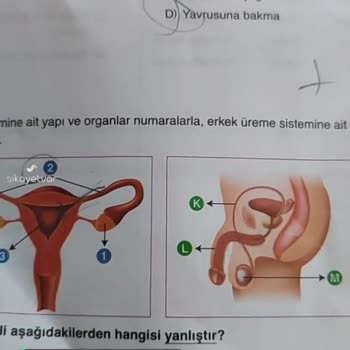 Ankara Yayıncılık Deneme Soru Görseli!