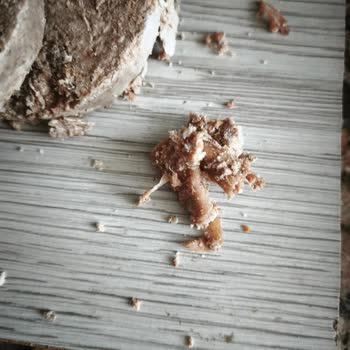 Torku Dana Kavurmasında Deri Görünümlü Sert Parçalar Ve Sağlık Endişesi