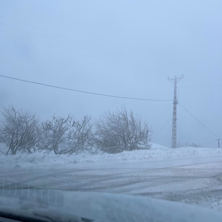 Avis Kış Şartlarına Uygun Olmayan Araç Lastikleri Güvenliğimizi Tehlikeye Attı