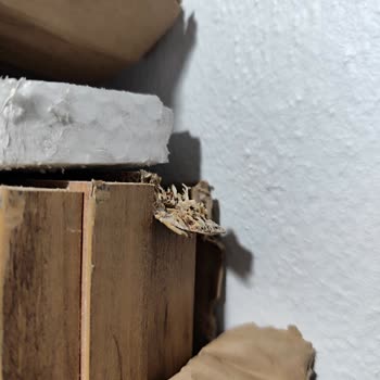 Eksik Yatak Başlığı Ve Hasarlı Odası Takımı İçin Acil Çözüm Talebi