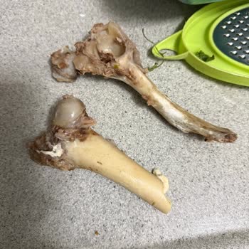 Köfteci Yusuf’ta Sipariş Teslimatı Gecikmesi Ve Müşteri Hizmetleri İhmali