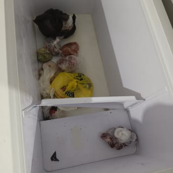 Tekrar Eden Soğutma Arızası Ve Kötü Koku Nedeniyle Derin Dondurucu Değişimi Talebi