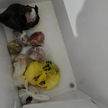 Tekrar Eden Soğutma Arızası Ve Kötü Koku Nedeniyle Derin Dondurucu Değişimi Talebi