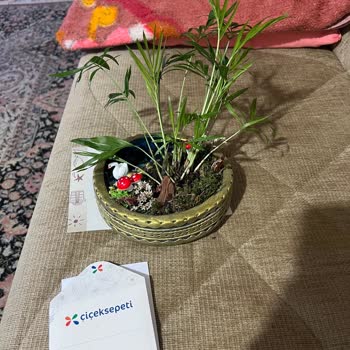 Terrarium Çiçeğindeki Kalite Sorunu Ve Çikolata Kutusunun Eksik Gönderilmesi