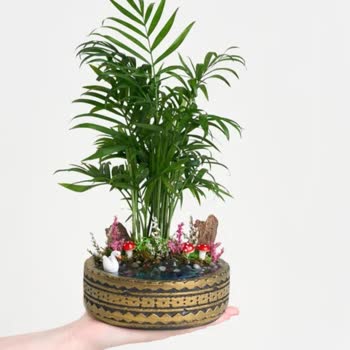 Terrarium Çiçeğindeki Kalite Sorunu Ve Çikolata Kutusunun Eksik Gönderilmesi