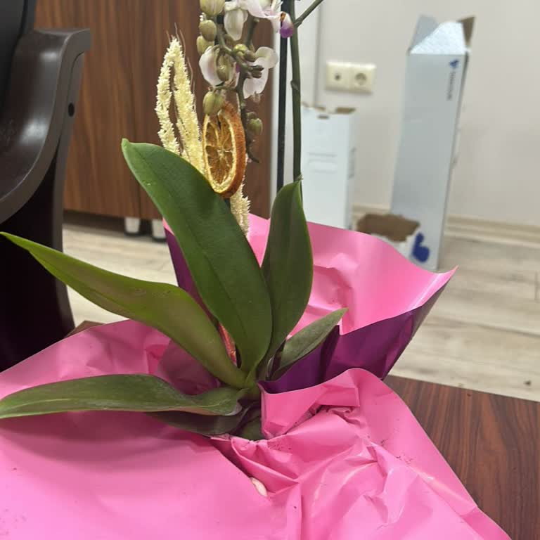 Taze Çiçek | Tazecicek.com Görsel İle Gerçek Çiçek Durumu Arasındaki Uyuşmazlık Ve İade Talebi