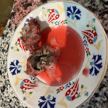 Dimes Gıda Vişne Suyu Küflü Ve Çürük: Sağlık Riski